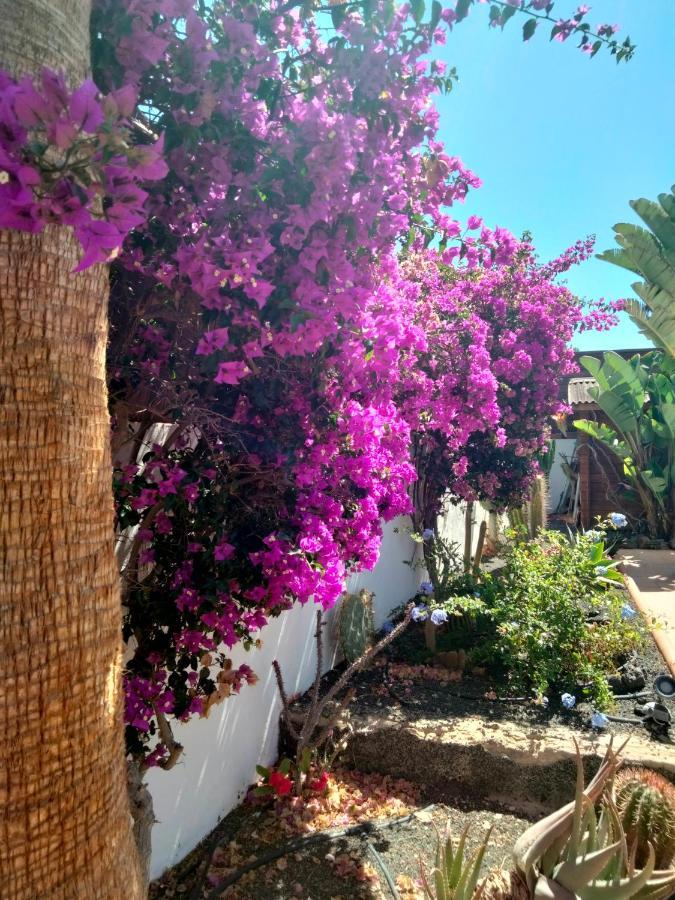 Villa Rosa Meravigliosa Con Piscina Interna Corralejo Bagian luar foto